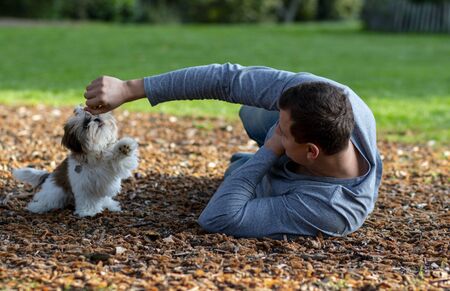 a man wallowing in a park on cones with a beautiful puppy interacting with an animalの写真素材