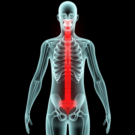 Human Body Bone Pains (Spinal Cord)の写真素材