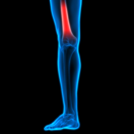 Human Body Bone Joint Pains (Leg Joint)の写真素材