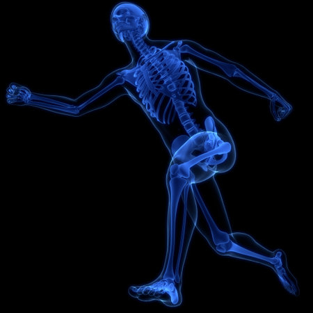 3D Illustration Concept of Human Skeleton System Bone Joints Anatomyの写真素材