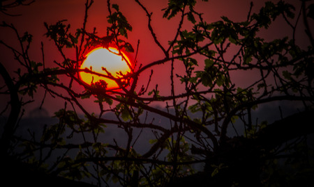 The sunsetの写真素材