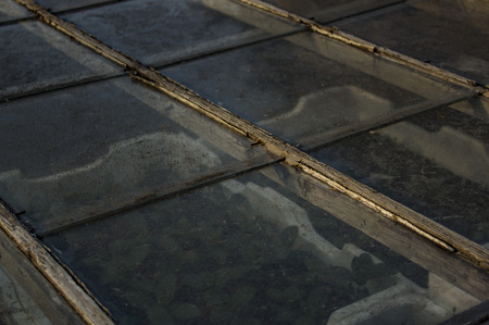 The old greenhouse windows. Shot in Denmark