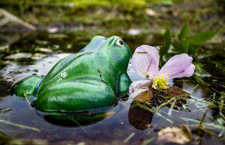 Spring in the forest. Shot in Denmark