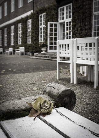 Fall at the old castle. Shot in Denmarkの写真素材