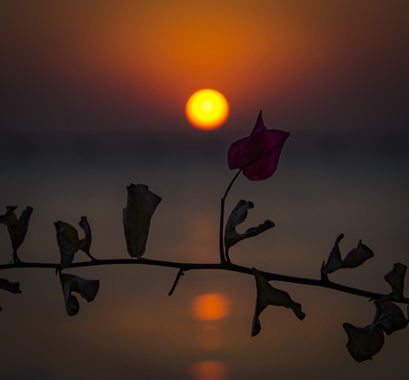 The sunsetの写真素材