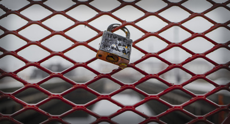 The fence. Shot in Denmark