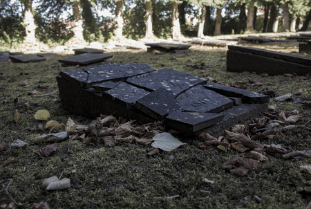 The old gravestonesの写真素材