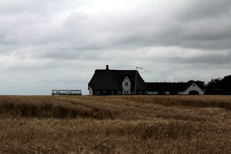 The Western coast of Denmarkの写真素材