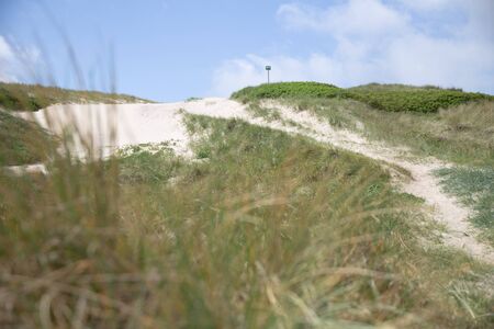 The Western coast of Denmarkの写真素材