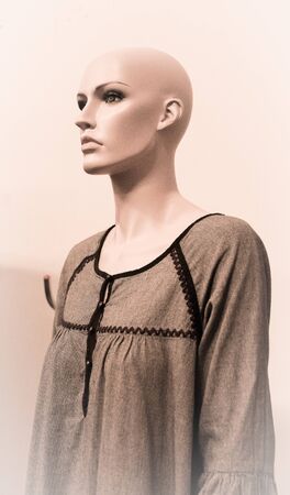 The mannequin dollの写真素材