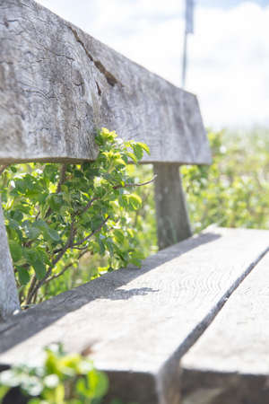 The old benchの写真素材