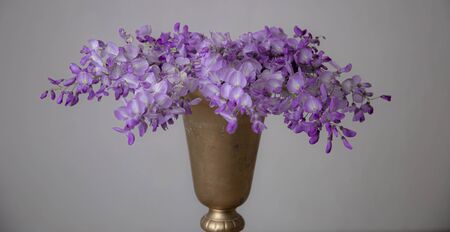 Flowers in the watering can