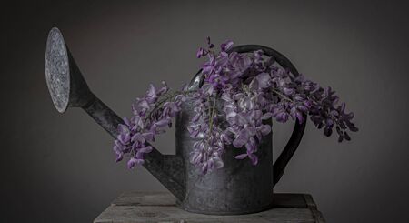 Flowers in the watering canの写真素材