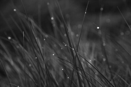 The beautiful Danish Western coastの写真素材