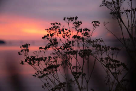 The beautiful Danish landscapeの写真素材