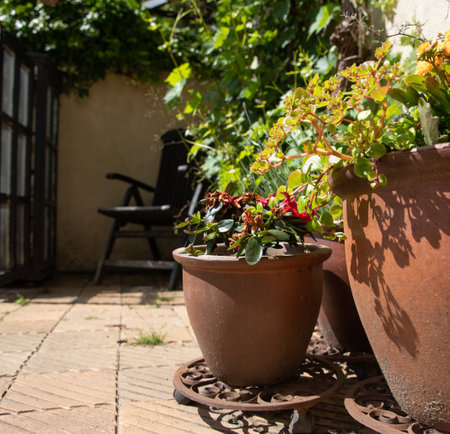 The beautiful Danish gardenの写真素材