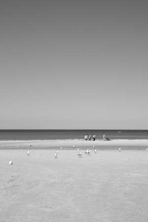 The beautiful Danish Western coastの写真素材