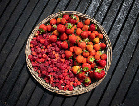 The tasty homegrown berriesの写真素材