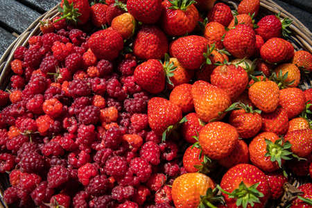 The tasty homegrown berries