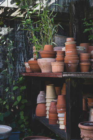 The beautiful old greenhouseの写真素材