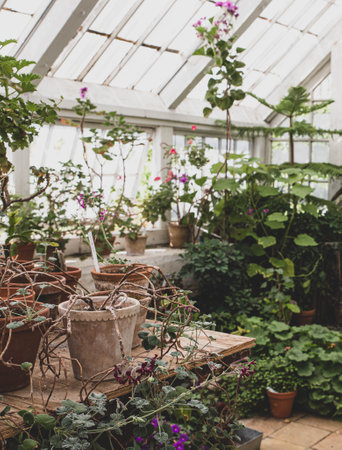 The beautiful old Danish greenhouseの写真素材