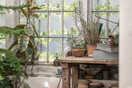 The beautiful old Danish greenhouseの写真素材