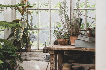 The beautiful old Danish greenhouseの写真素材