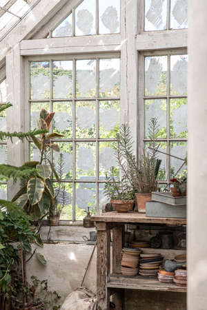 The beautiful old Danish greenhouseの写真素材
