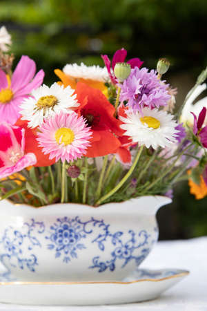 The beautiful Danish summer flowersの写真素材