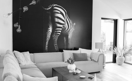The beautiful Danish modern homeの写真素材