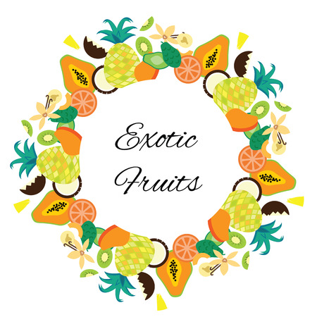 vector illustration / tropical fruits circle / exotic summer frameのイラスト素材