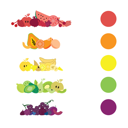 vector illustration / fruits devided by color and arranged in lines / natural nutrition rainbow conceptのイラスト素材