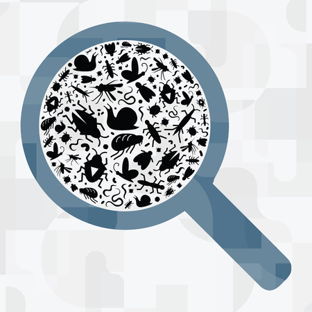 vector illustration of different bugs and insects in magnifier for agricultural science and research conceptsのイラスト素材