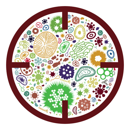 vector illustration of bacteria and pathogens aimed in circle for disinfectant and antibiotics visualsのイラスト素材