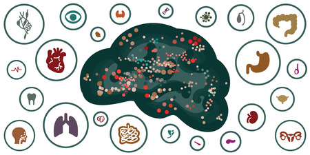 vector illustration of brain and human body organs for mental and emotional connections or...