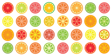 vector illustration of round citrus fruits grid pattern for bright backgroundsのイラスト素材