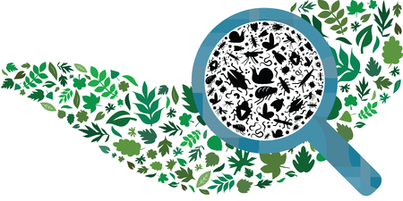 vector illustration of different bugs and insects and leaves in wave shape with magnifier for plant protection in agricultureのイラスト素材