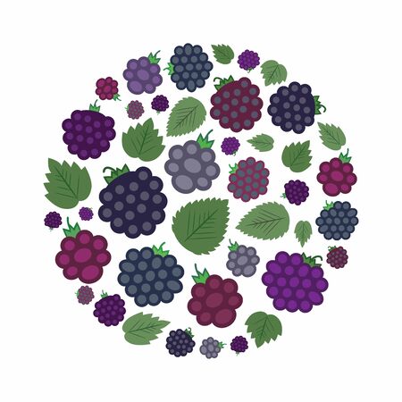 vector illustration of  blackberries in circle shape designのイラスト素材