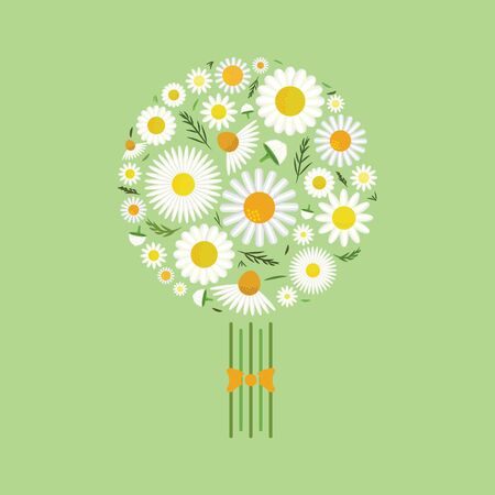 vector illustration of chamomile flowers in bouquet for greeting cards and floral designs のイラスト素材