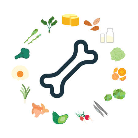 vector illustration foods for healthy bones in round shape design