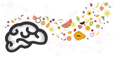vector icons of brain and wave of fruits for proper nutrition for cognitive functions