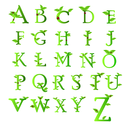 Letters of green leaves and water drops, original design font Collectioのイラスト素材