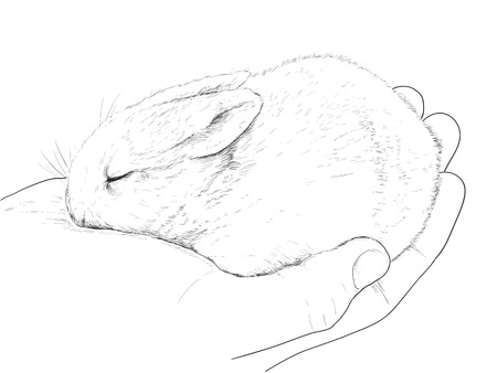 small rabbit on hand, graphic sketchのイラスト素材