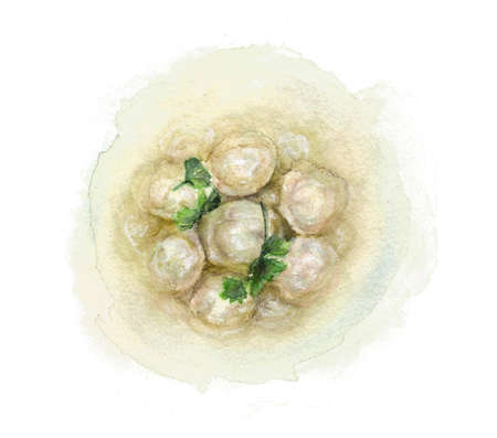 Dumplings in broth, drawn with watercolorの写真素材
