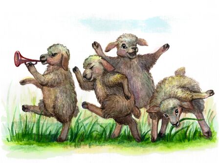 Funny sheep graze, illustrationの写真素材