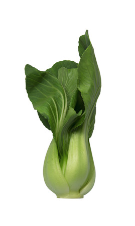 vegetablesの写真素材