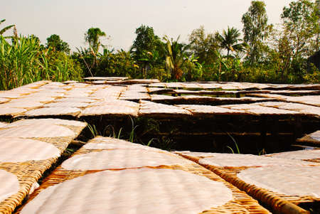 Traditional Vietnamese family's glass noodles manufacture in Vietnamの写真素材