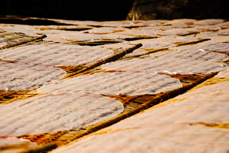 Traditional manufacture of the rice paper food in vietnamの写真素材