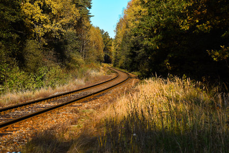 Alone train rail turned in the middle of forest in autumns countryside