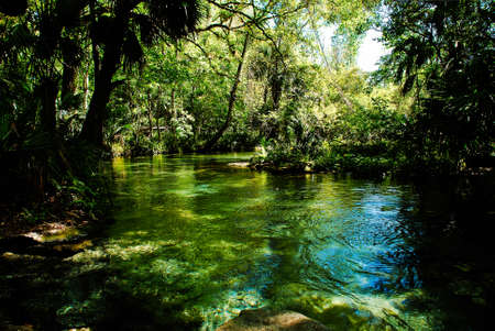 The rock spring river in Florida by Apopka leads trough kelly state park with many hot freshwater...